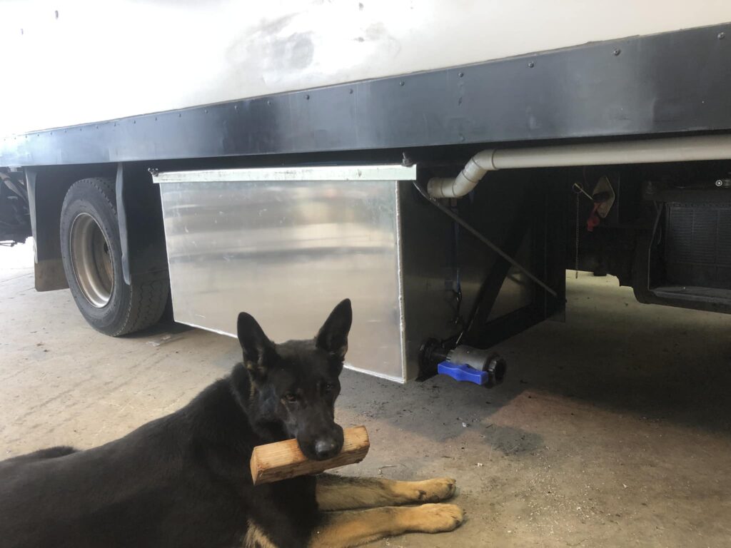 selwyn-gasfitters-dog-with-a-log-01